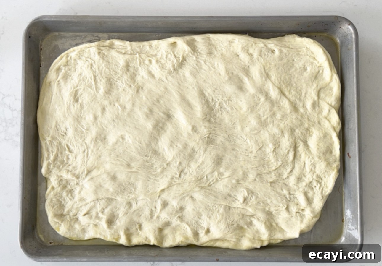 Golden Perfection Pissaladière A Provençal Onion and Anchovy Flatbread 18 Pissaladière dough, before the second rise // FoodNouveau.com