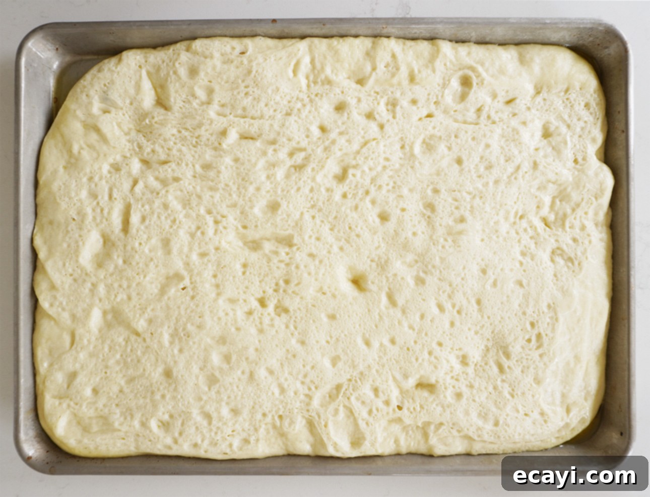 Golden Perfection Pissaladière A Provençal Onion and Anchovy Flatbread 19 Pissaladière dough, after the second rise // FoodNouveau.com