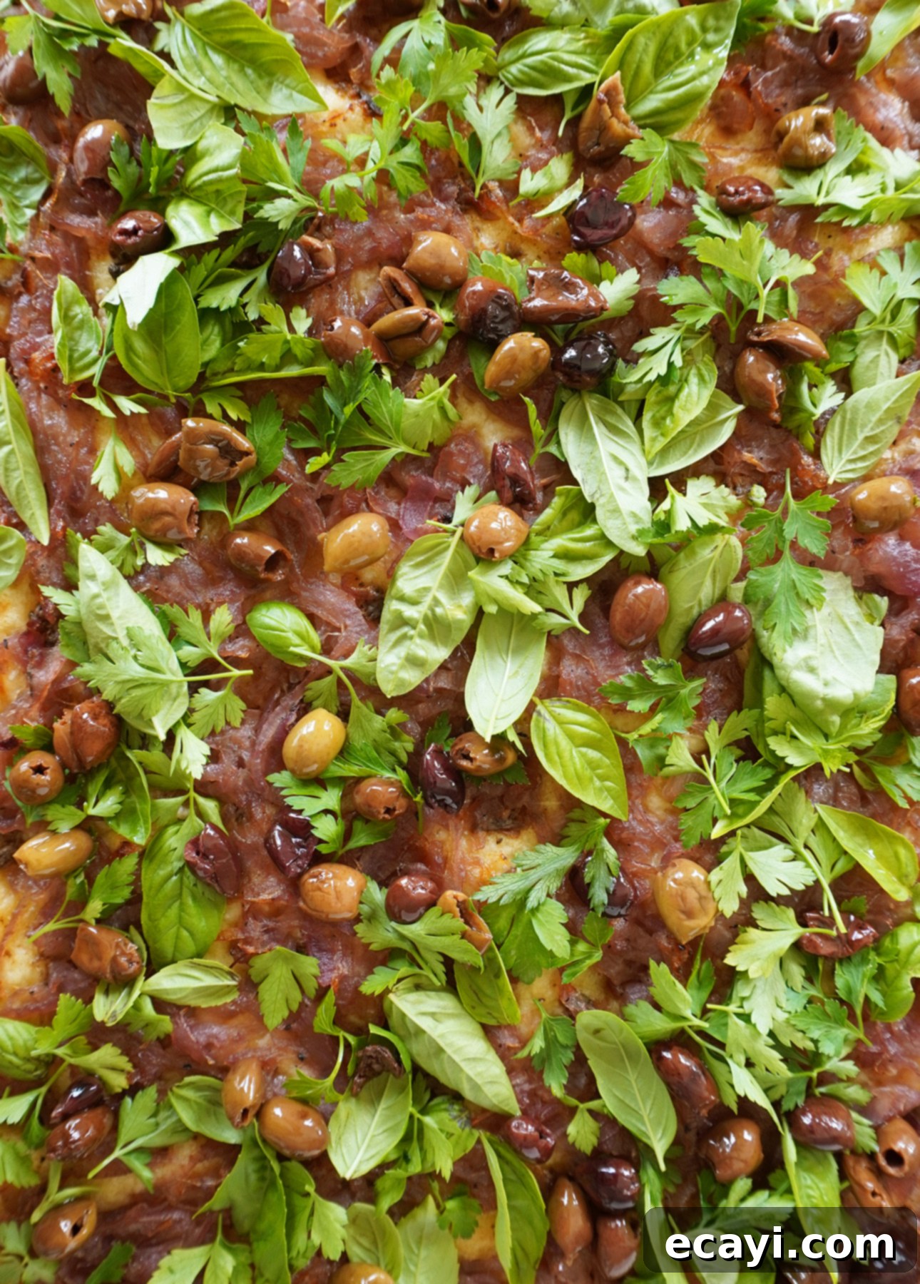 Golden Perfection Pissaladière A Provençal Onion and Anchovy Flatbread 27 Pissaladière, a flatbread made with caramelized onions, anchovies, and black olives originating from the South of France // FoodNouveau.com