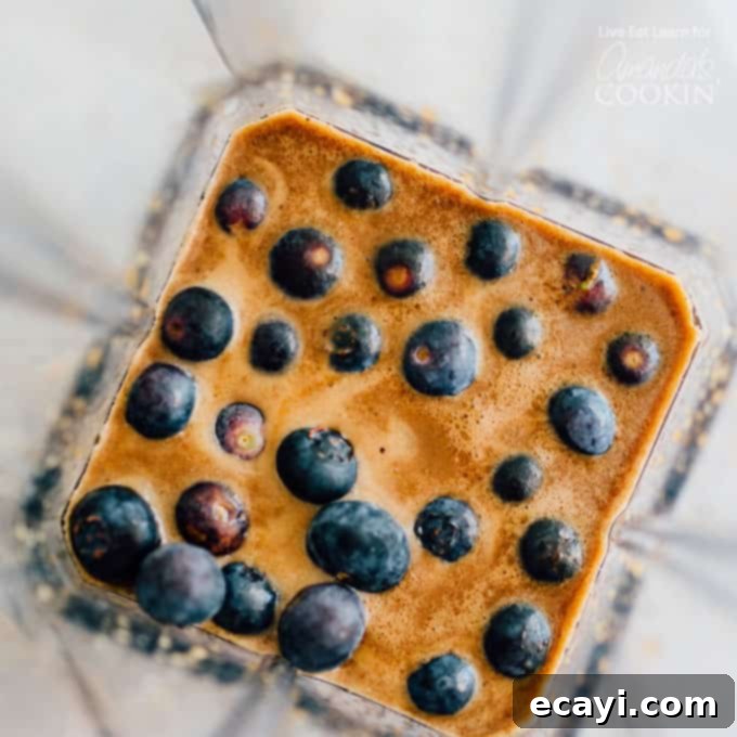This image displays all the simple ingredients required for making a quick and easy homemade blueberry vinaigrette salad dressing, emphasizing freshness. Fresh blueberries, balsamic vinegar, honey, lemon juice, olive oil, salt, and pepper gathered in a blender, ready to be processed into a smooth, creamy blueberry vinaigrette.