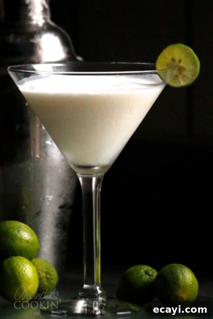 Key West Kiss Martini 2 Delicious Key Lime Pie Martini in a martini glass with a lime slice and graham cracker rim