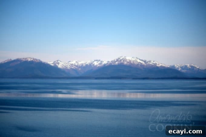 Key West Kiss Martini 5 Scenic view from an Alaskan cruise ship, showing calm water in the foreground and majestic mountains in the background