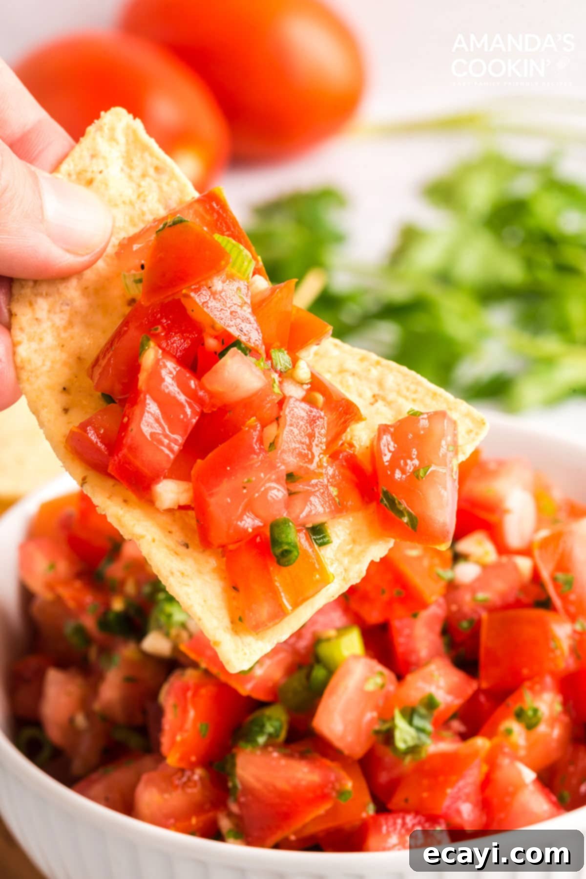 Freshly made salsa fresca with crisp tortilla chips ready to be enjoyed Hand lifting tortilla chip with a generous scoop of homemade salsa fresca on it