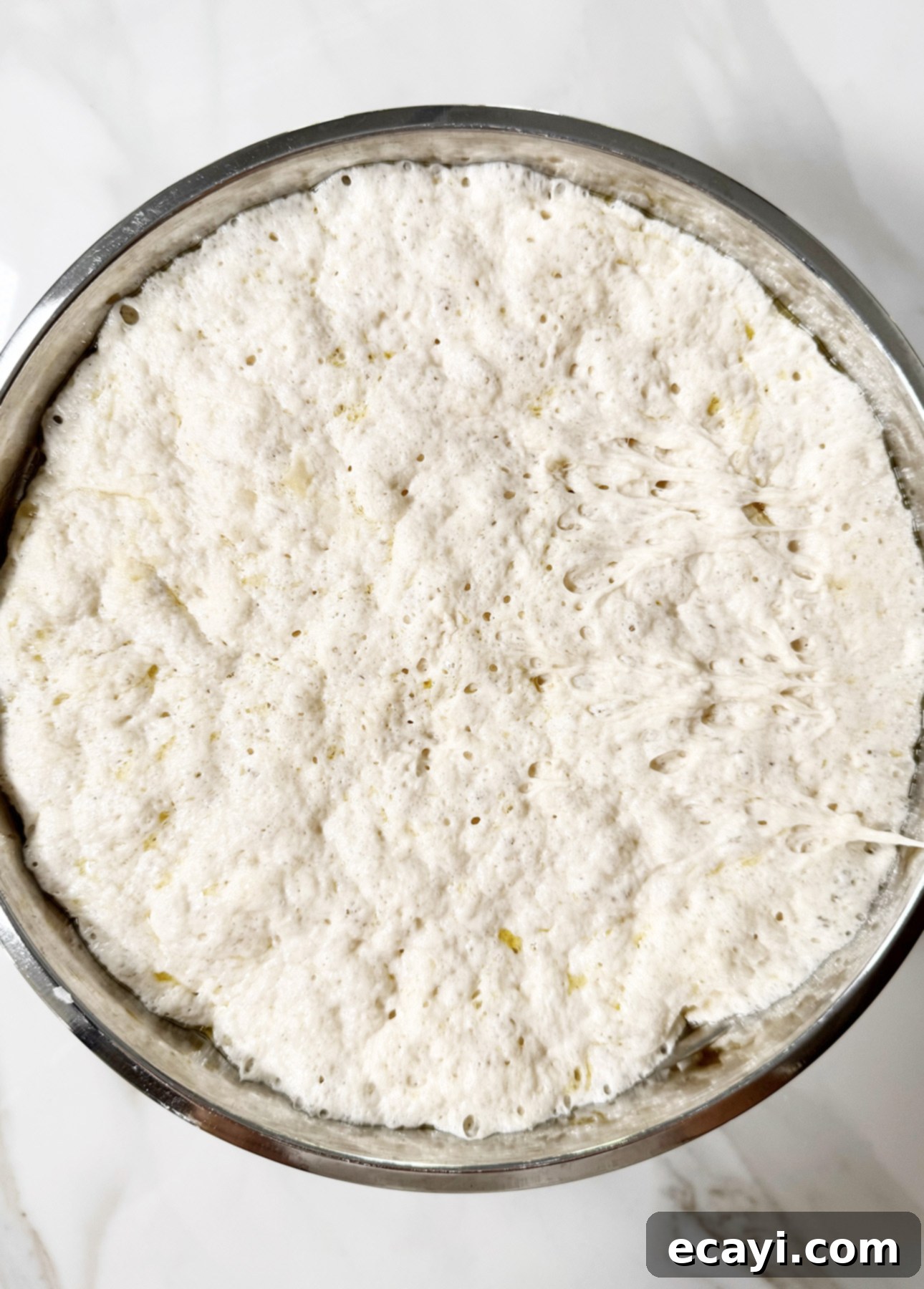 25 Enfes Tuzlu Ekmek Tarifi: Gün Boyunca Sofranızın Gözdesi 3 Perfectly risen, homemade focaccia dough made with a no-knead recipe