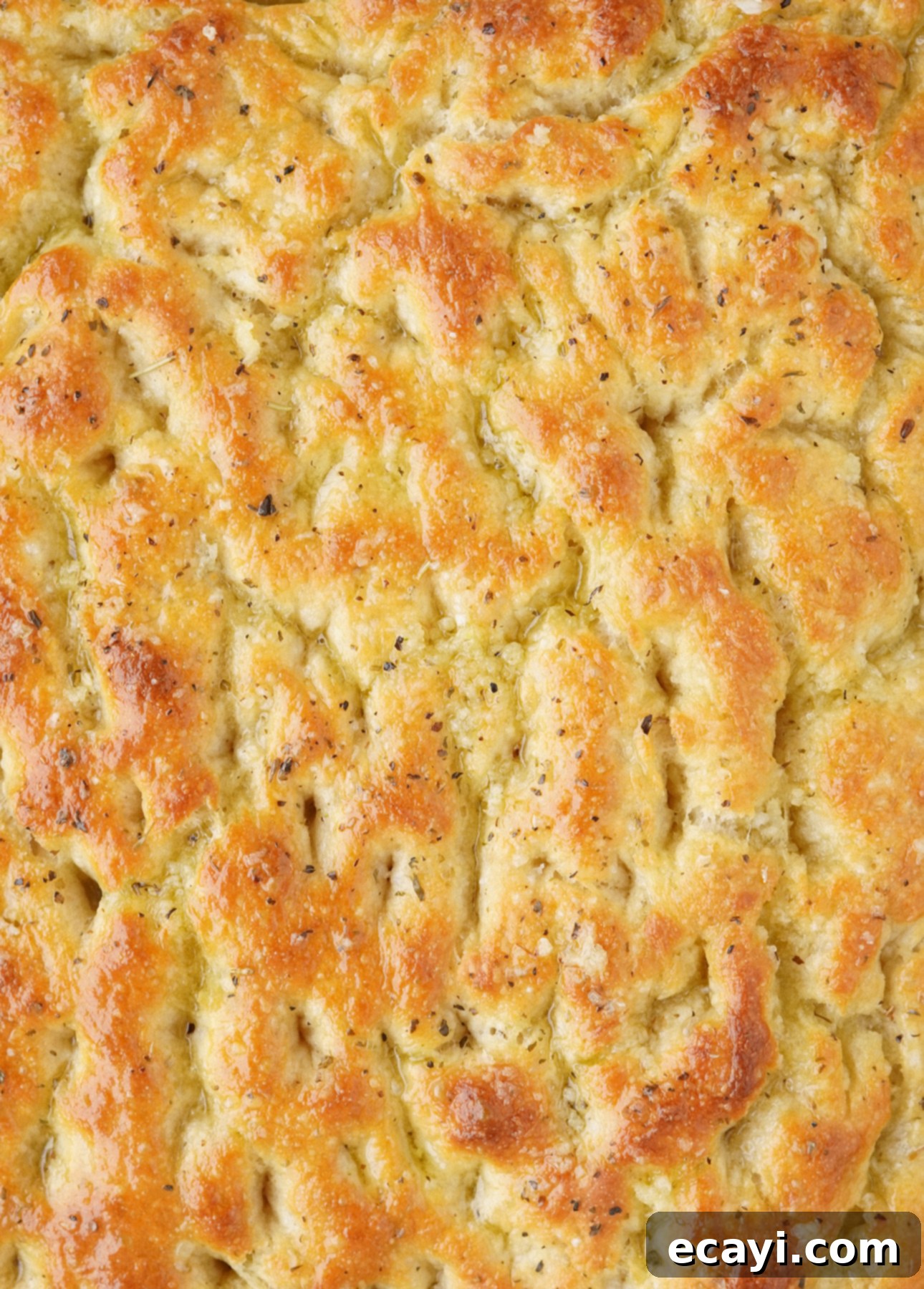 Bake Perfect No-Knead Focaccia Effortlessly 4 Learn how to make a perfectly gold and crunchy focaccia at home using an extremely easy, no-knead recipe // FoodNouveau.com