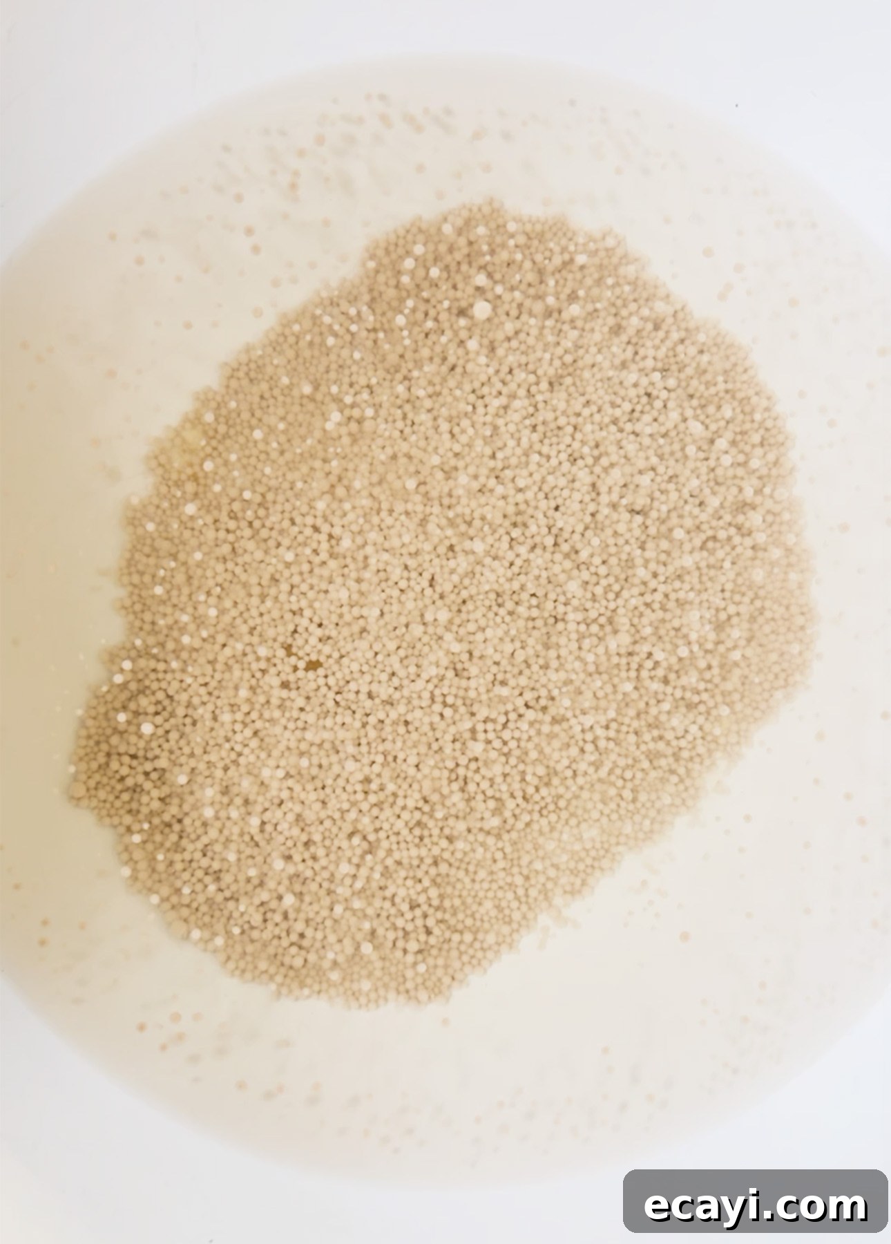 Bake Perfect No-Knead Focaccia Effortlessly 7 Active dry yeast blooming to make no-knead focaccia // FoodNouveau.com