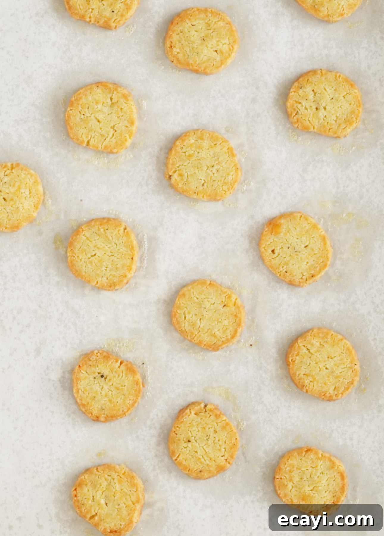 Golden Parmesan Shortbread 6 Parmesan Sablés, easy slice-and-bake savory cookies make with parmesan cheese and black pepper, after baking // FoodNouveau.com