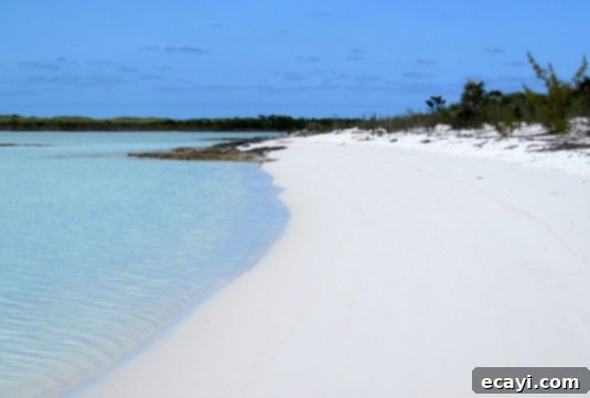 The most beautiful beach in the world at Shroud Cay. The most beautiful beach in the world at Shroud Cay.