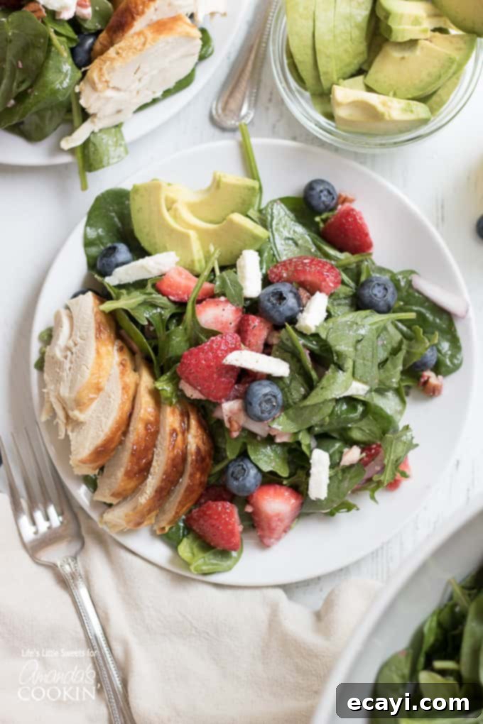 Strawberry Salad, the perfect summer salad recipe! Vibrant Strawberry Salad featuring fresh blueberries, creamy avocado slices, and tender chicken pieces, ready to be enjoyed.