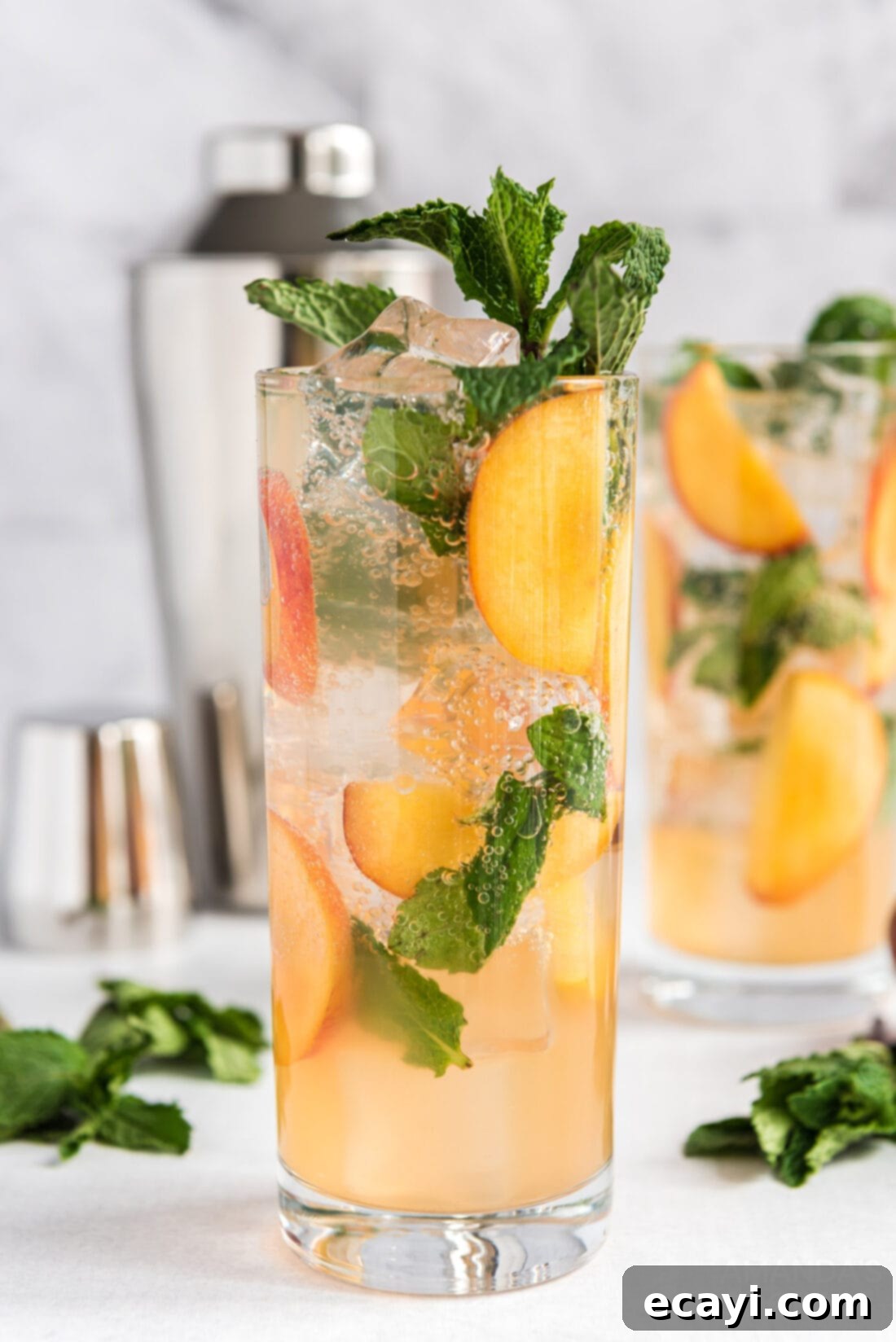 Peach Paradise Mojito 10 A single tall glass of Peach Mojito, perfectly garnished with a fresh peach slice and mint sprig, against a rustic background.