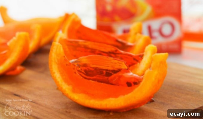 Orange Jello Shot Recipe: Simple steps for a show-stopping treat. A tray filled with freshly prepared Orange Jello Shots in their rinds, ready to chill.
