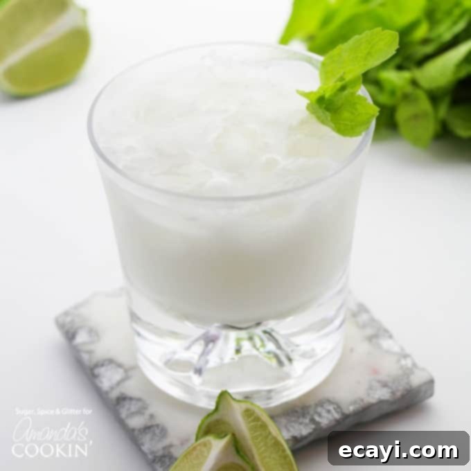 Rum Cruiser 6 COCONUT RUM MOJITOS - another delicious rum cocktail