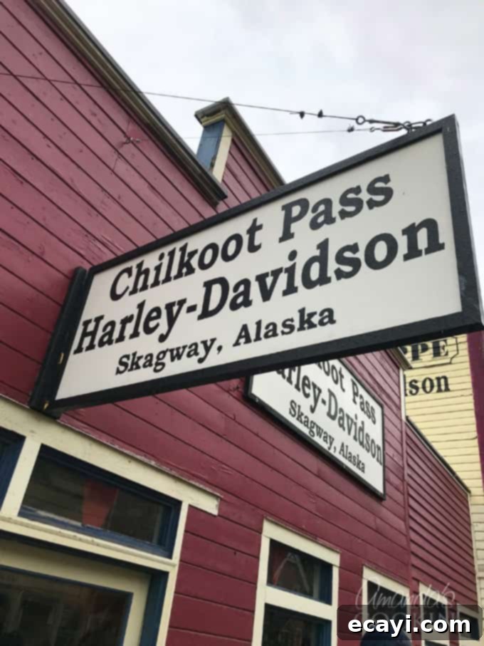Davidson Glacier: Paddle into the Glacial Blue 5 harley davidson shop sign skagway alaska