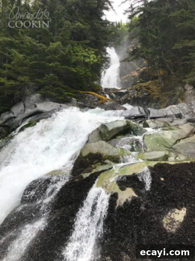 Planning Alaska excursion ideas? The Davidson Glacier Canoe Tour offers an incredible journey through beautiful Alaska forests and out to a magnificent glacier! #alaskancruise #alaskaexcursion #canoetour #glaciertour #skagwayalaska #visitalaska #travelalaska #sponsored #princesscruises @princesscruises #comebacknew waterfall in alaska fjord