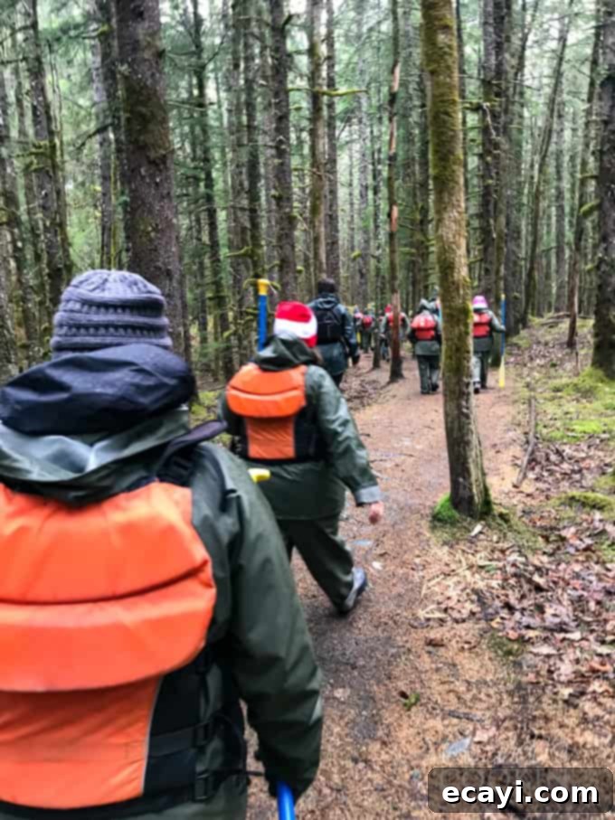 The Davidson Glacier Canoe Tour is among the top Alaska excursion ideas, guiding you through beautiful Alaska forests and to a magnificent glacier! #alaskancruise #alaskaexcursion #canoetour #glaciertour #skagwayalaska #visitalaska #travelalaska #sponsored #princesscruises @princesscruises #comebacknew hiking through forest to go to glacier in alaska