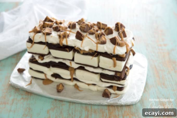 Finished Peanut Butter Ice Cream Sandwich Cake The final Peanut Butter Ice Cream Sandwich Cake, beautifully layered and ready to be enjoyed.
