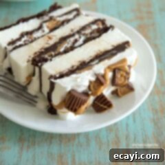 Ultimate Ice Cream Sandwich Cake 2 slice of ice cream cake on a plate