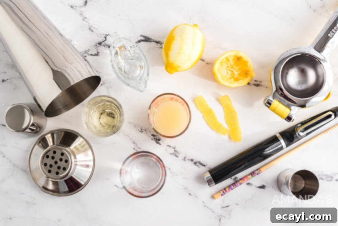 Sweet Tart Twinkle 4 Ingredients laid out for a Lemon Drop Cocktail: vodka, Triple Sec, simple syrup, fresh lemons, and a cocktail shaker.