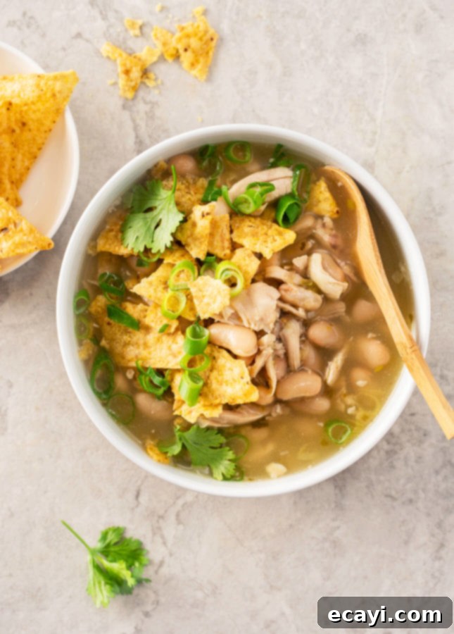 Zesty Verde Chicken in a Flash 2 Superfast Salsa Verde Chicken Soup // FoodNouveau.com