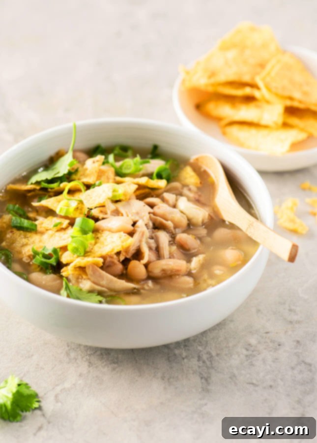 Zesty Verde Chicken in a Flash 3 Superfast Salsa Verde Chicken Soup // FoodNouveau.com
