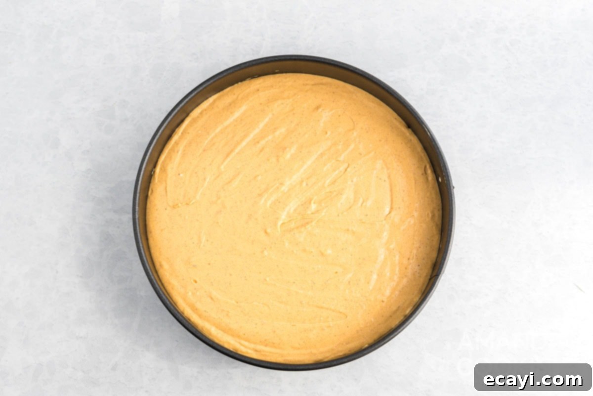 Dreamy No-Bake Pumpkin Perfection 9 Smooth, creamy pumpkin cheesecake batter filled into the graham cracker crust in a springform pan, ready for chilling.
