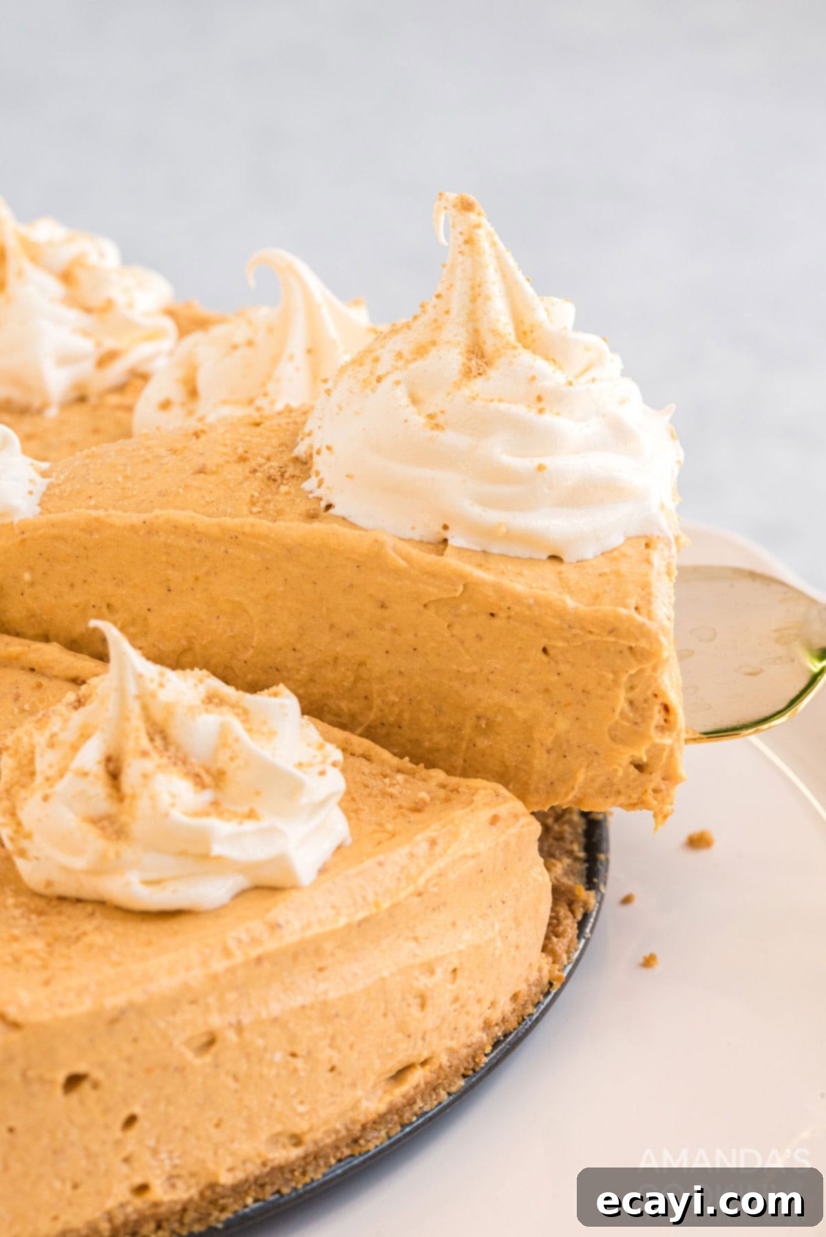 Serving a slice of No-Bake Pumpkin Cheesecake A perfectly set slice of no-bake pumpkin cheesecake being lifted from the whole cake with a pie server, showcasing its delicious layers and creamy filling.