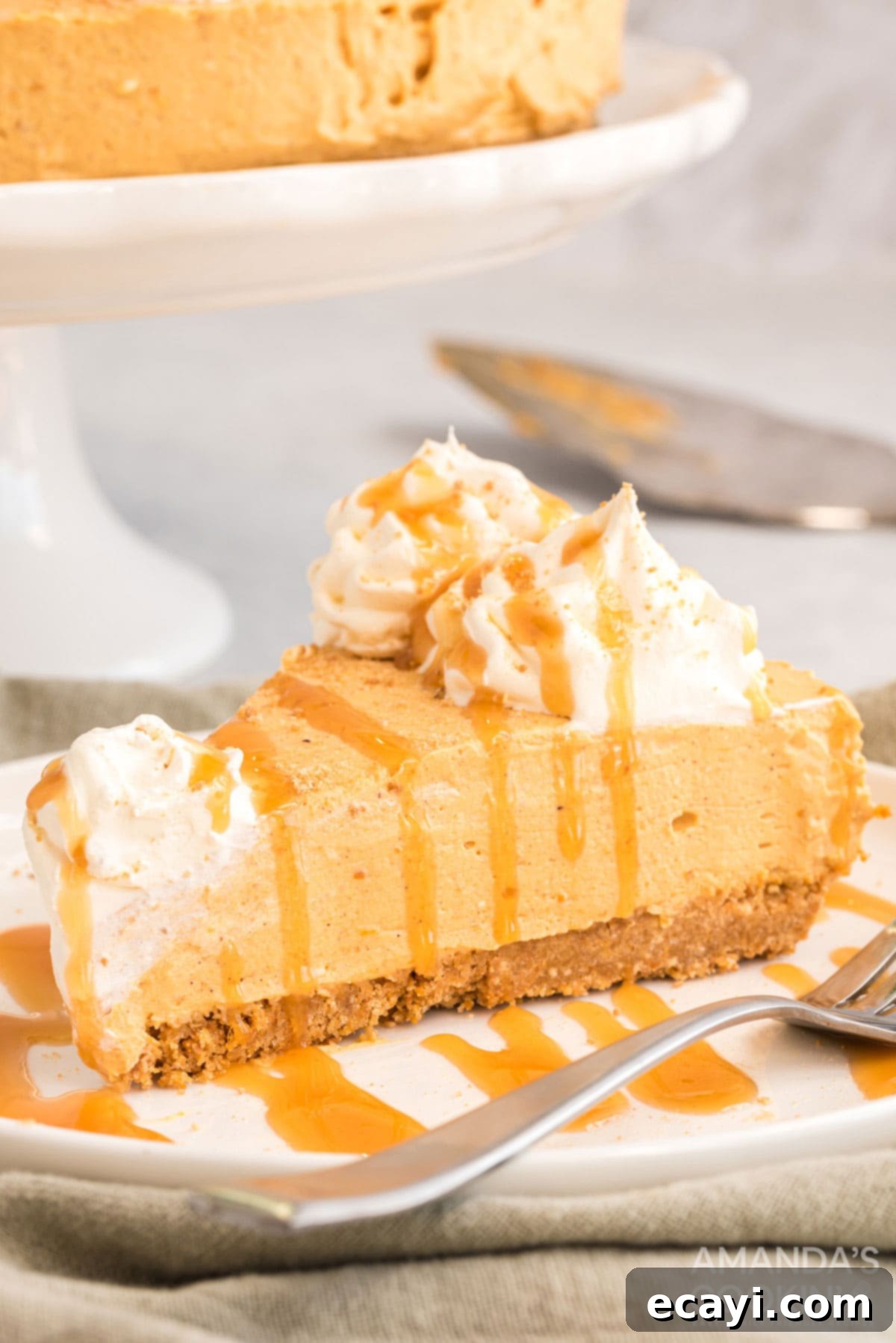 No-Bake Pumpkin Cheesecake with Caramel Drizzle A delectable slice of no-bake pumpkin cheesecake on a white plate, elegantly drizzled with caramel sauce and ready to be enjoyed.