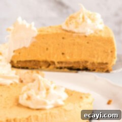 Dreamy No-Bake Pumpkin Perfection 10 A perfect slice of creamy no-bake pumpkin cheesecake on a plate, garnished and ready to be savored.