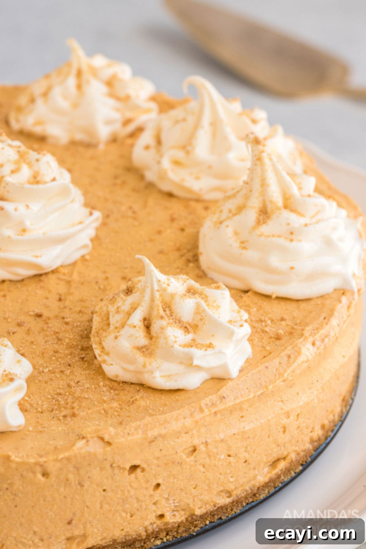 No-Bake Pumpkin Cheesecake with Whipped Topping Top view of a decadent no-bake pumpkin cheesecake garnished with swirls of whipped topping and a dusting of graham cracker crumbs, ready for serving.