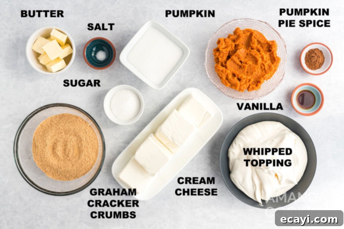 Dreamy No-Bake Pumpkin Perfection 2 All ingredients for no-bake pumpkin cheesecake laid out and labeled on a kitchen counter, including graham cracker crumbs, butter, cream cheese, pumpkin puree, sugar, and spices.