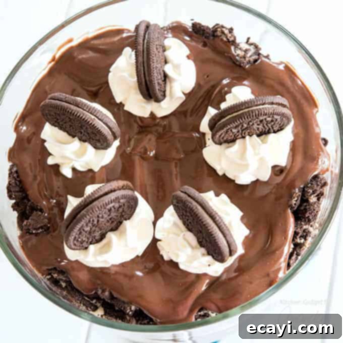 Chocolate Lasagna Trifle Chocolate Lasagna Trifle overhead shot