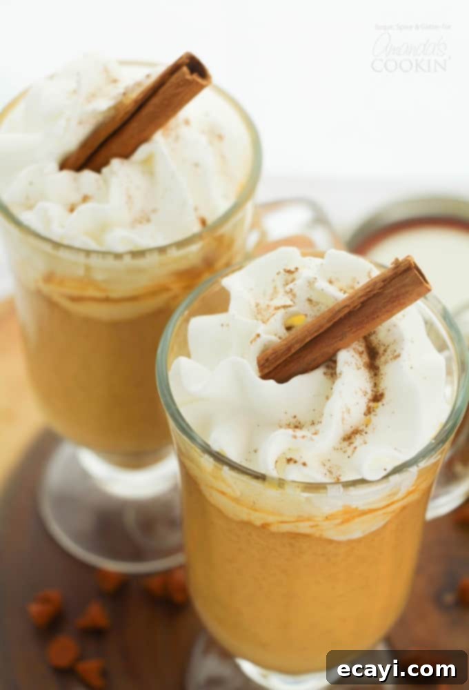 This Pumpkin Spice Hot Chocolate is the perfect way to warm up this fall! Pumpkin Spice Hot Chocolate with cinnamon stick garnish