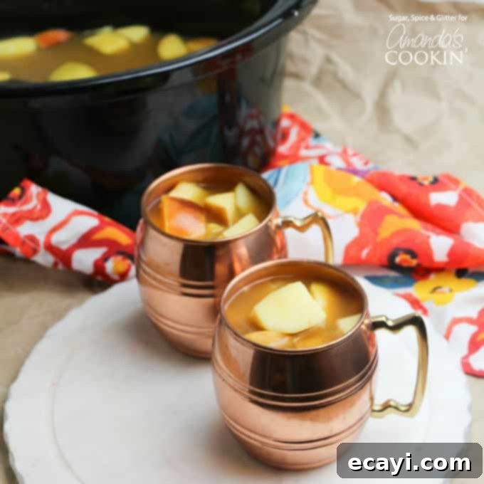Velvet Pumpkin Spice Hot Chocolate 2 apple cider in copper mugs