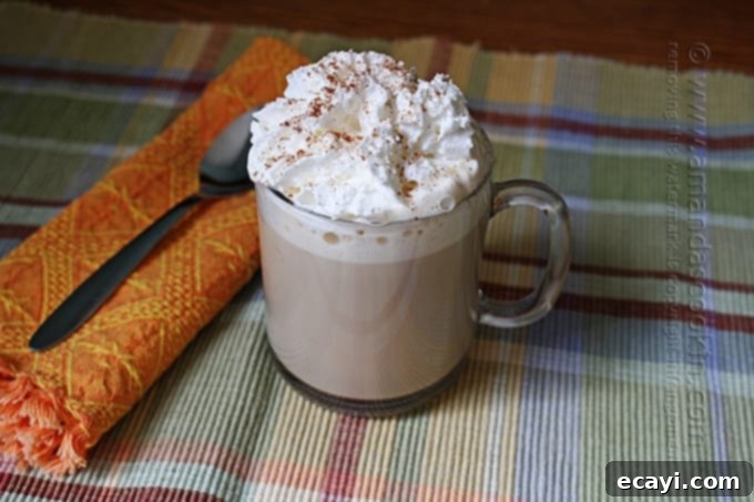 Velvet Pumpkin Spice Hot Chocolate 3 Slow Cooker Pumpkin Spice Latte - Amanda's Cookin'
