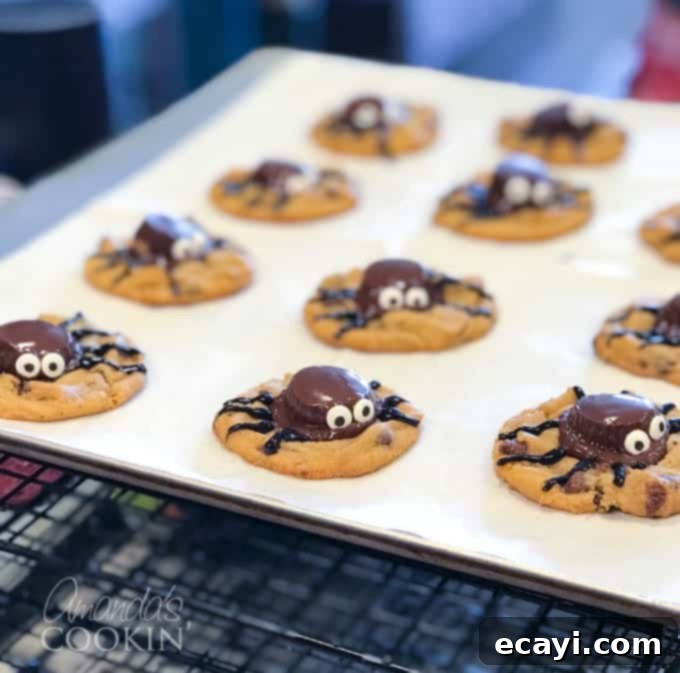 If you need Halloween food ideas for your Halloween party, be sure to check out all these sweet, savory and beverage ideas! Something for everyone. #halloweenrecipes #halloweenfoodideas #halloweenfood #halloweentreats #halloweenpartyfood #mummycookies #mozarellaeyeballs #spidertacodip #spidercookies #ricekrispypumpkins #ricekrispymonsters #dipinapumpkin #halloweenparty spider cookies