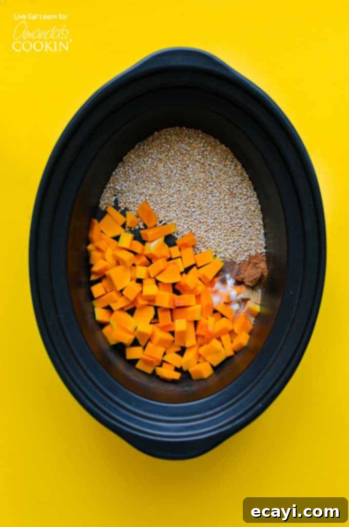 Overnight Crockpot Butternut Squash Oatmeal: Easy & Delicious Fall Breakfast Crockpot Butternut Squash Oatmeal ingredients in slow cooker, ready to be cooked overnight