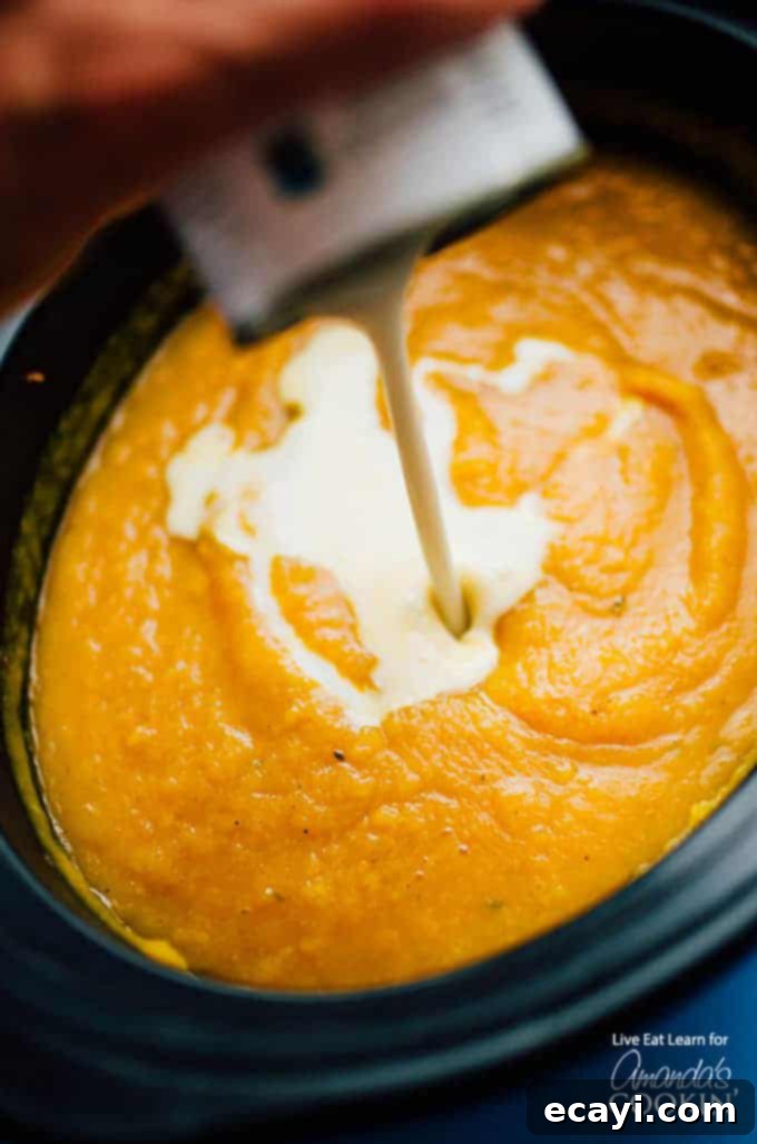 Blended Slow Cooker Butternut Squash Soup to creamy perfection Using a handheld immersion blender to puree Slow Cooker Butternut Squash Soup