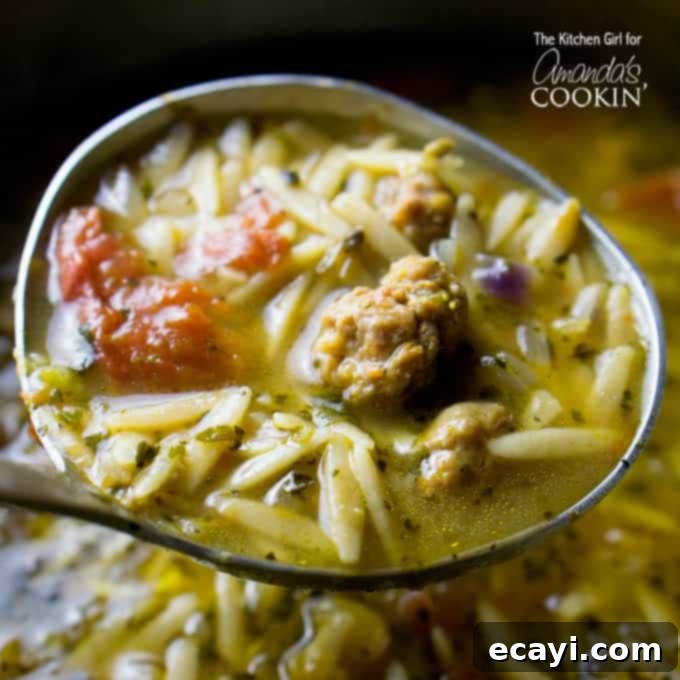 Slow Cooker Autumn Butternut Delight 2 Ladle full of Orzo and Sausage soup with fresh basil