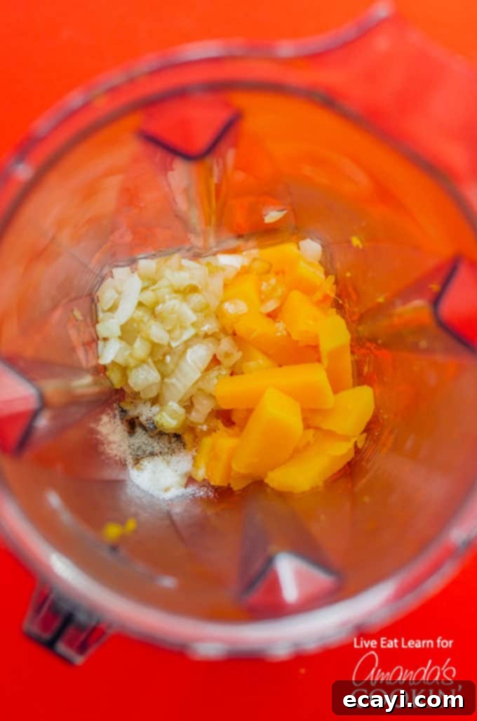 Butternut Squash Mac and Cheese  Ingredients for Butternut Squash Mac and Cheese in blender