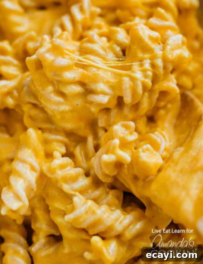 Butternut Squash Mac and Cheese  Butternut Squash Mac and Cheese up close