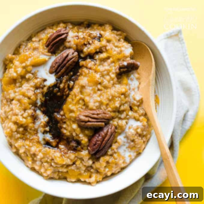 Golden Butternut Mac 3 A bowl of Butternut squash oatmeal