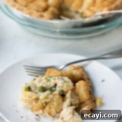 Golden Tater Tot Chicken Pot Pie Bake 4 Chicken Pot Pie Tater Tot Casserole