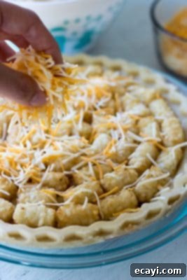 Golden Tater Tot Chicken Pot Pie Bake 6 Chicken Pot Pie Tater Tot Casserole