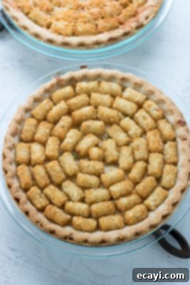 Golden Tater Tot Chicken Pot Pie Bake 7 Chicken Pot Pie Tater Tot Casserole
