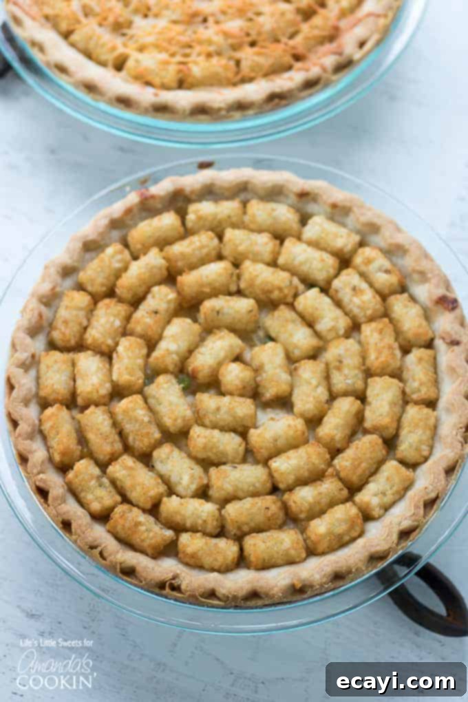 Chicken Pot Pie Tater Tot Casserole Chicken Pot Pie Tater Tot Casserole overhead shot