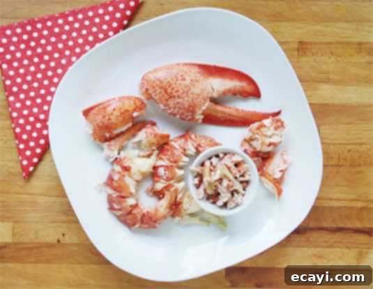 Very appetizing lobster meat. Close-up of very appetizing, succulent lobster meat, diced and ready for mixing into a delicious roll.