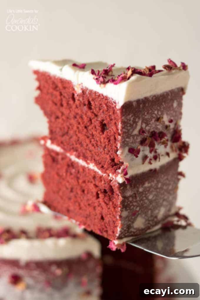 Beautiful red velvet cake for anytime of the year. slice of red velvet cake with cream cheese frosting