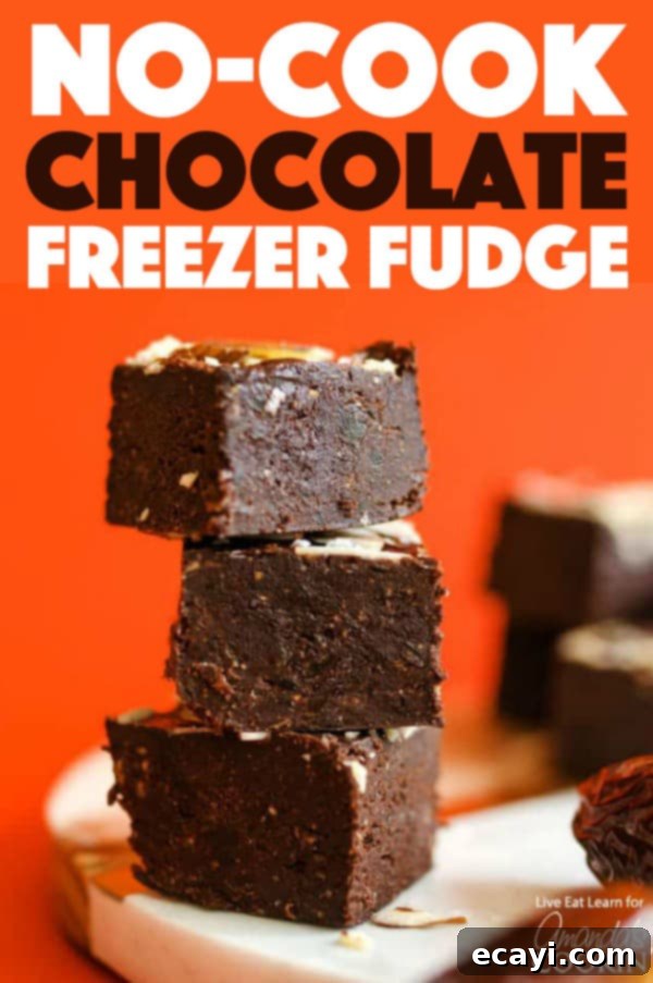 This easy chocolate freezer fudge is ready in minutes and requires no cooking. Just mix it all together, chill, and serve! #fudge #chocolate #freezerfudge #dates #coconutoil #easydesserts #nobake #dessertrecipes #christmasfudge #fudgerecipes Chocolate Freezer Fudge