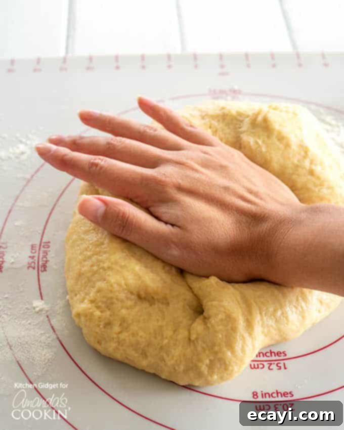 Shaped Hawaiian Rolls Ready for Second Rise How to make Homemade Hawaiian Rolls step 4, shaped rolls in a baking dish