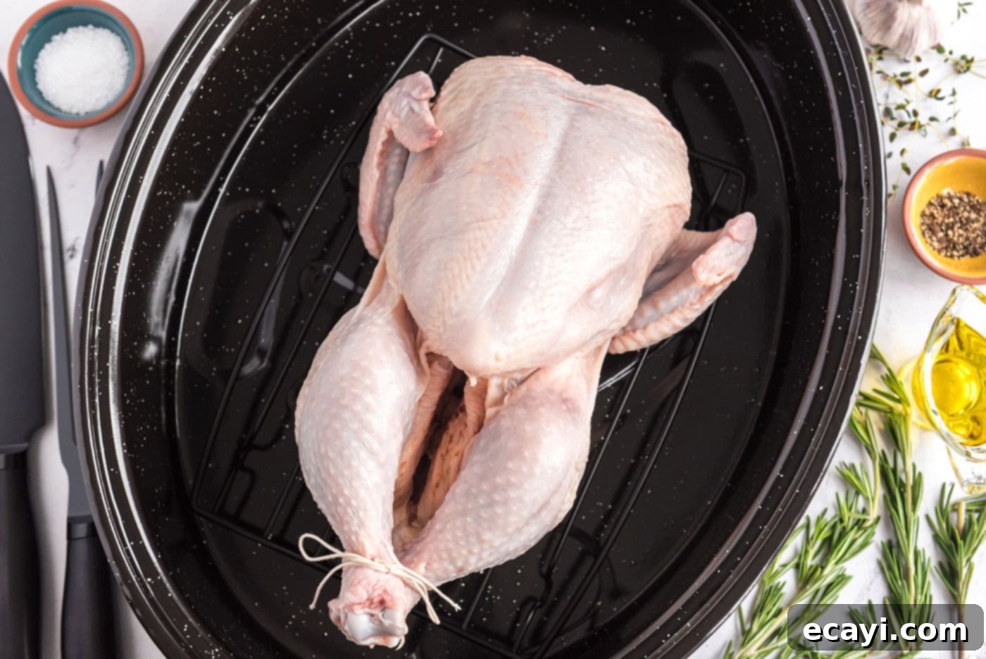Golden Herb Roasted Chicken 5 Kasap ipiyle bağlanmış bir kızartma tavasında bütün tavuk
